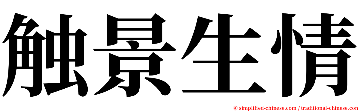 触景生情 serif font