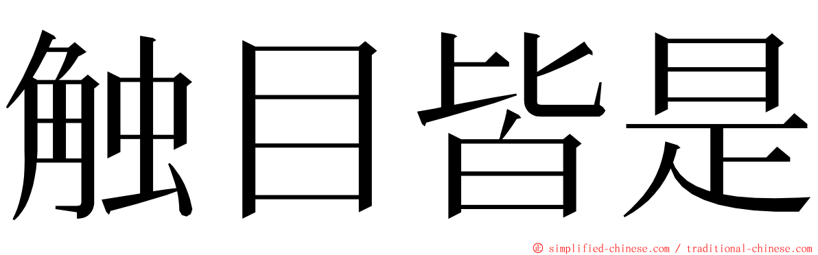 触目皆是 ming font