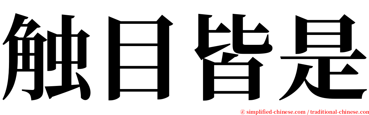 触目皆是 serif font