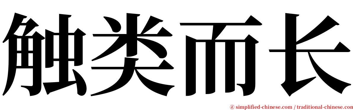 触类而长 serif font