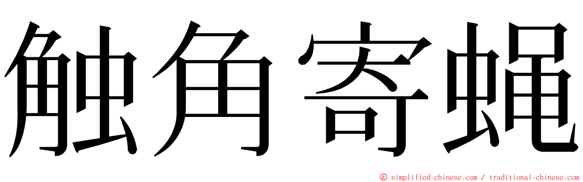 触角寄蝇 ming font