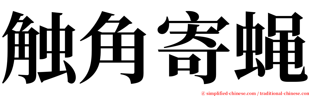 触角寄蝇 serif font