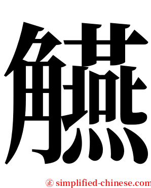 觾 serif font