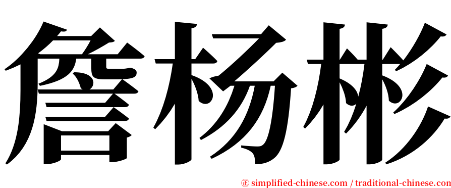 詹杨彬 serif font