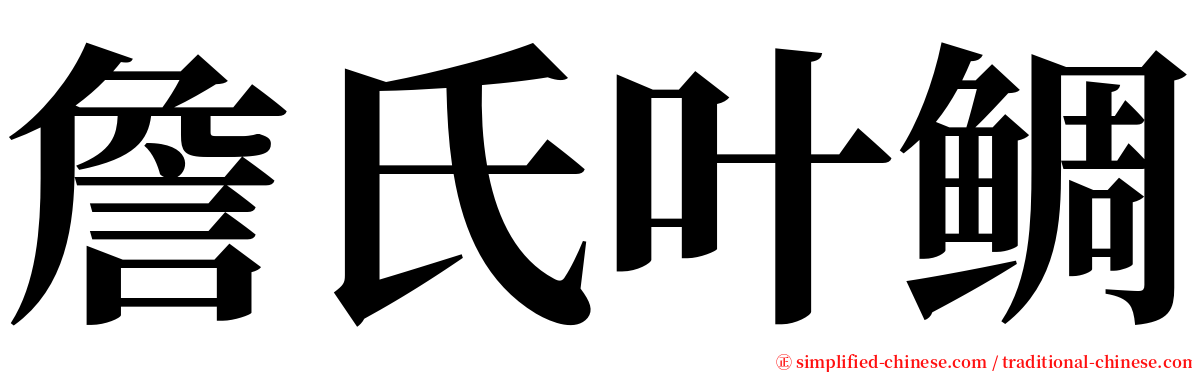 詹氏叶鲷 serif font