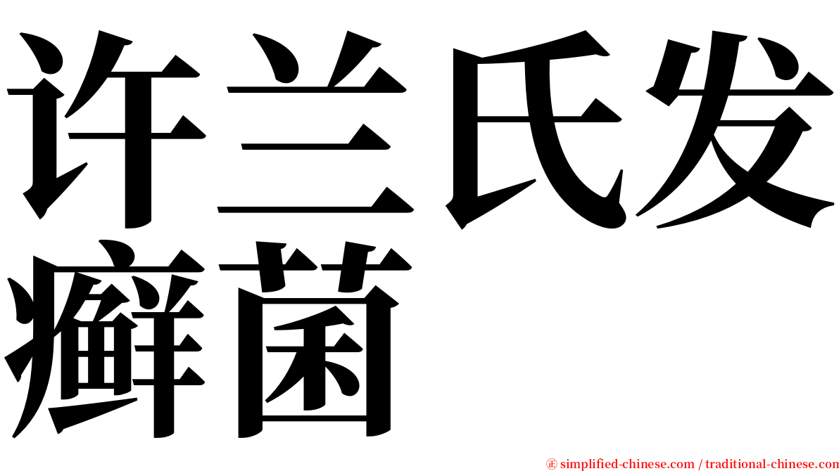 许兰氏发癣菌 serif font