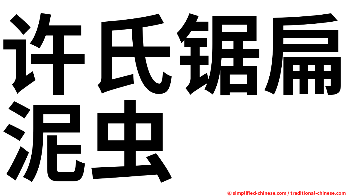 许氏锯扁泥虫