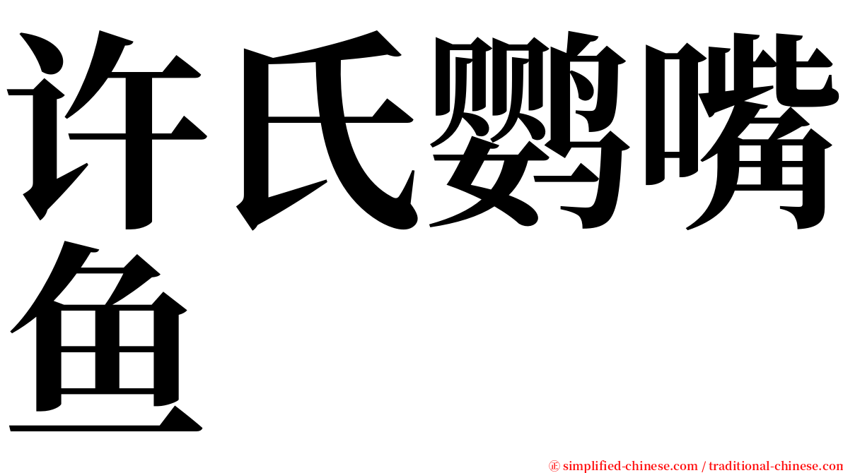 许氏鹦嘴鱼 serif font