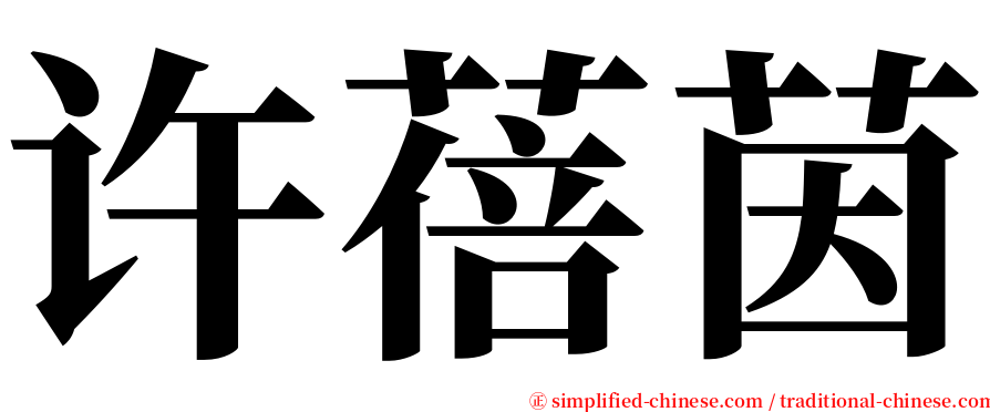 许蓓茵 serif font