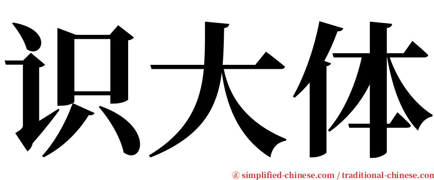 识大体 serif font