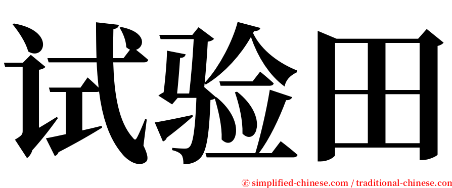 试验田 serif font