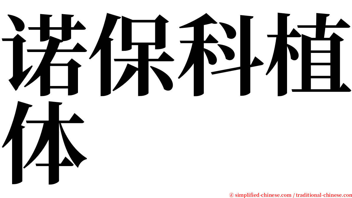 诺保科植体 serif font