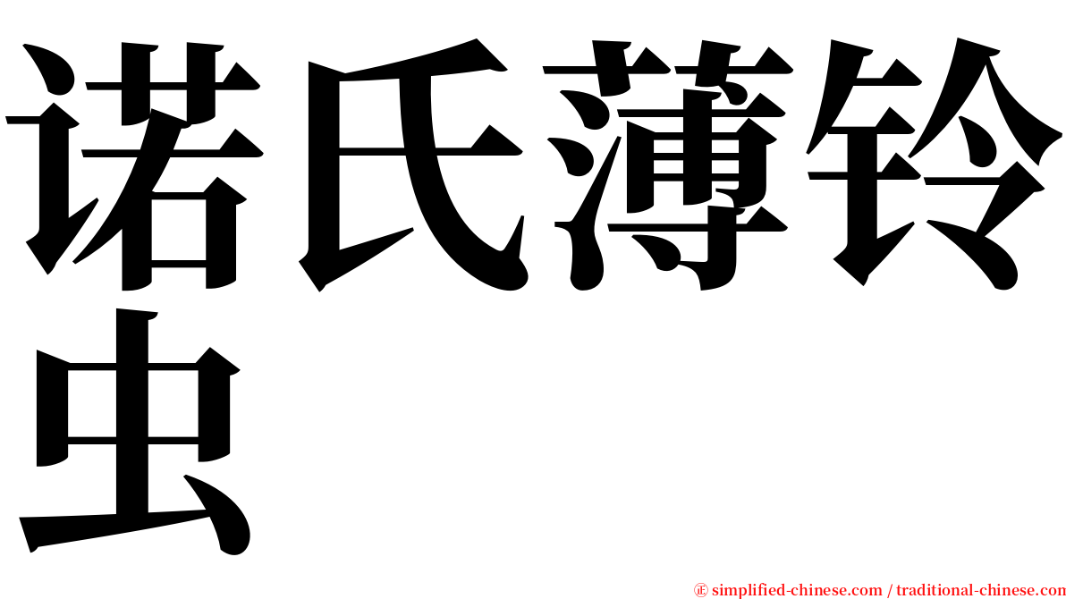 诺氏薄铃虫 serif font