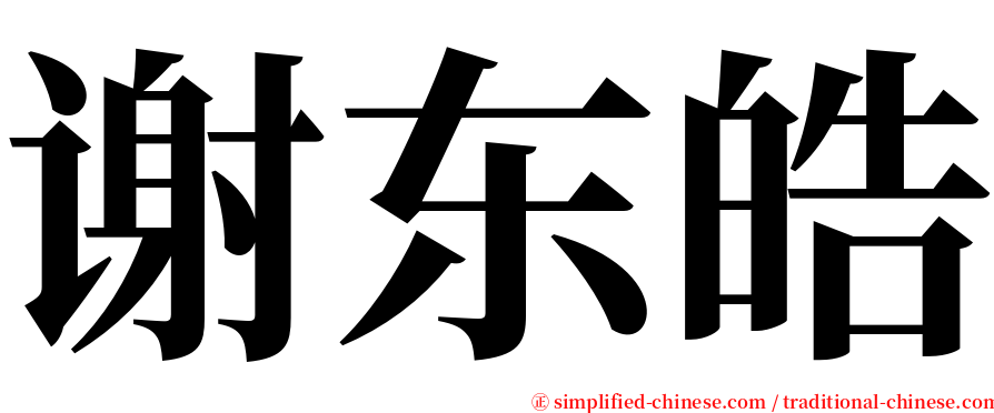 谢东皓 serif font