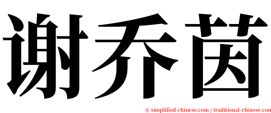 谢乔茵 serif font