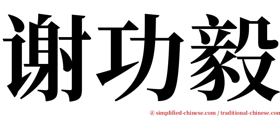 谢功毅 serif font