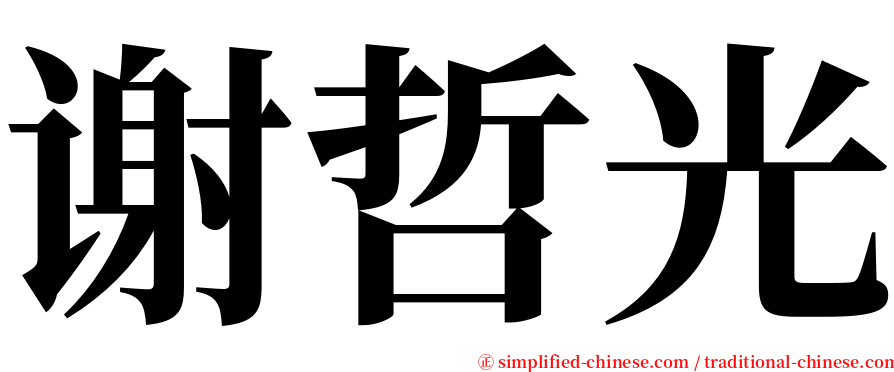 谢哲光 serif font