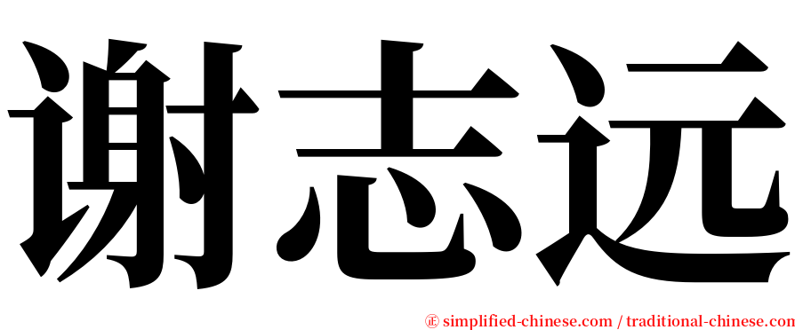 谢志远 serif font