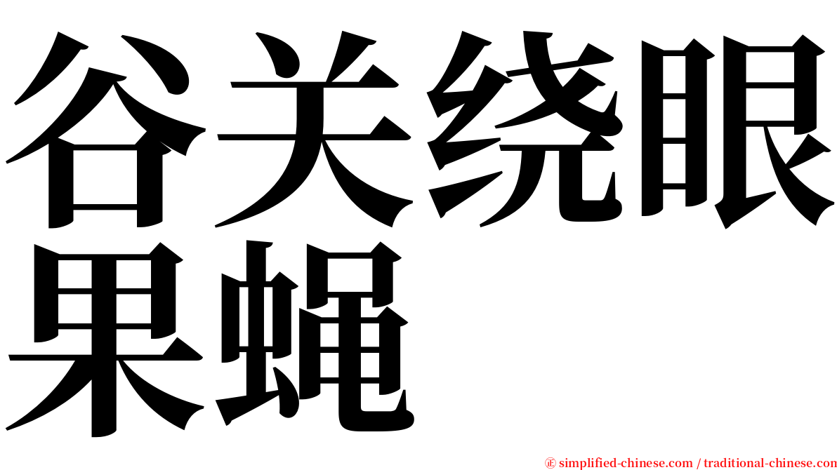 谷关绕眼果蝇 serif font