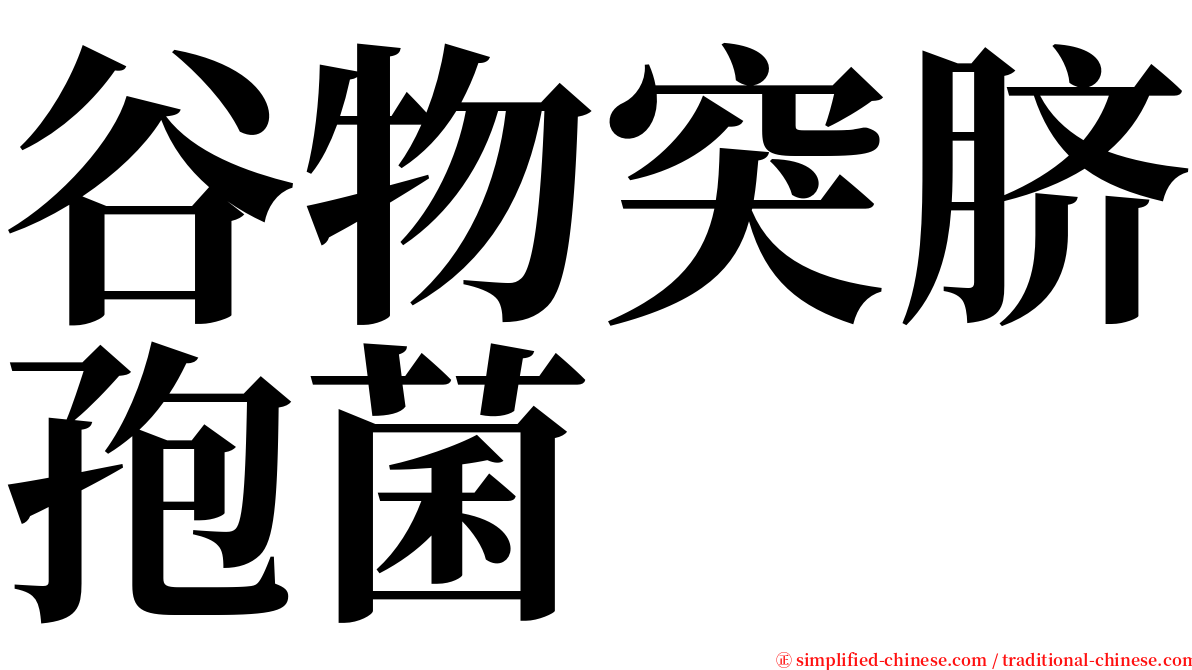 谷物突脐孢菌 serif font