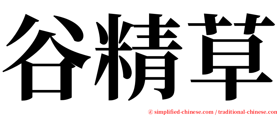 谷精草 serif font