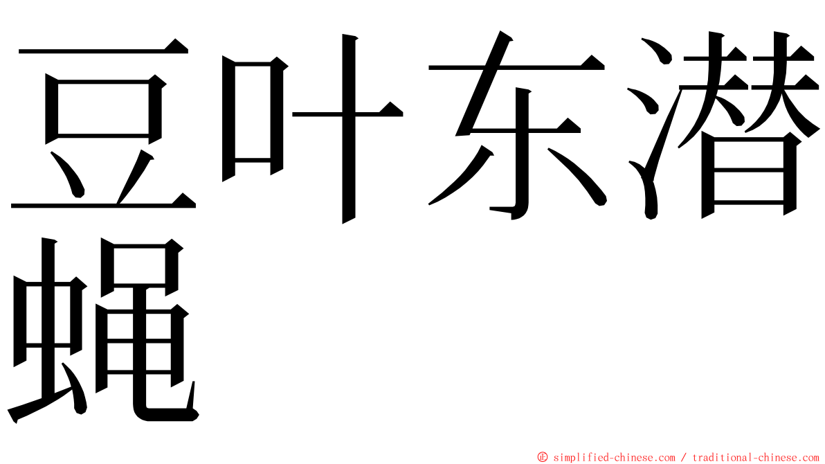 豆叶东潜蝇 ming font