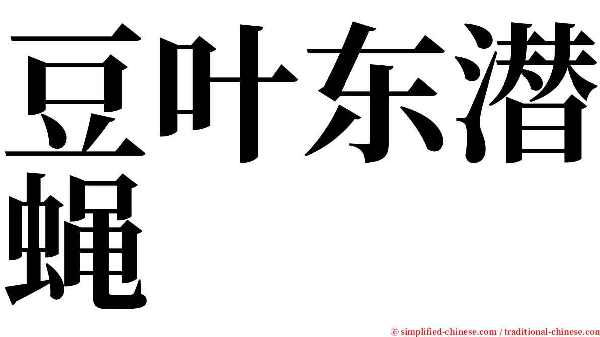 豆叶东潜蝇 serif font