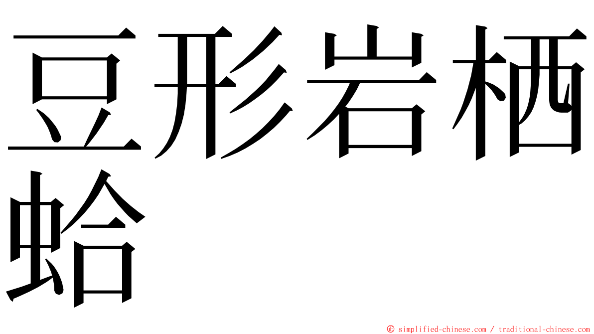 豆形岩栖蛤 ming font