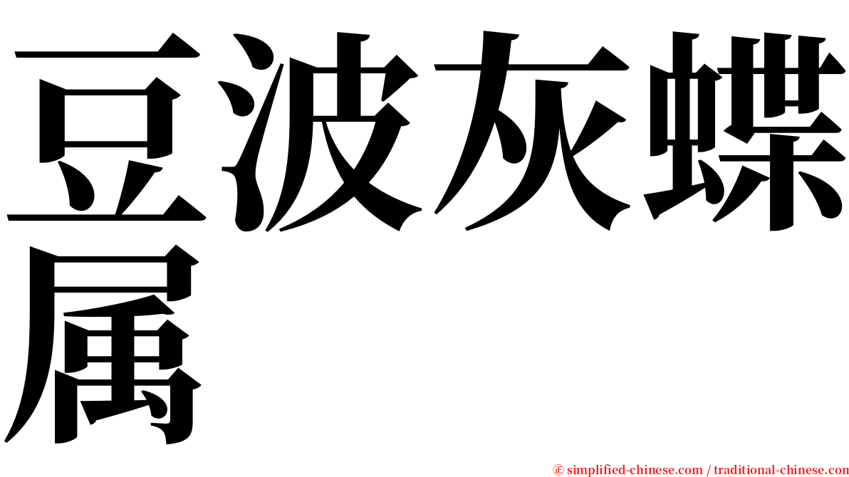 豆波灰蝶属 serif font