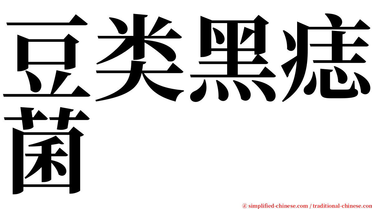 豆类黑痣菌 serif font