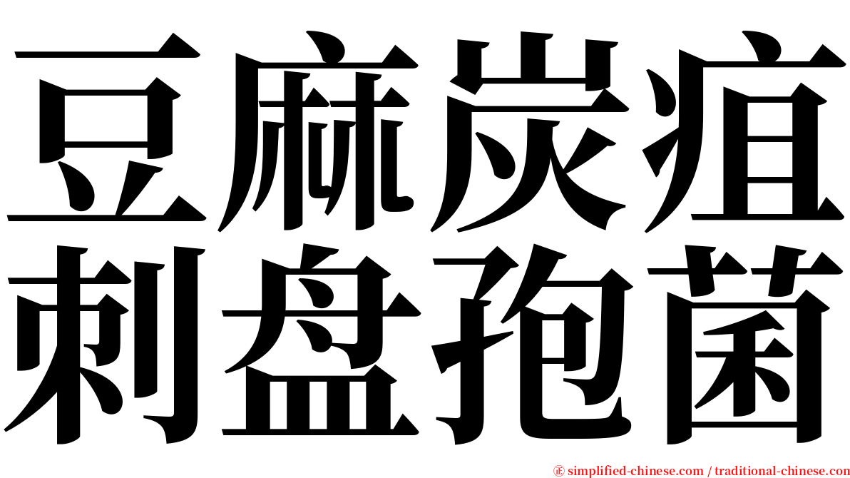 豆麻炭疽刺盘孢菌 serif font