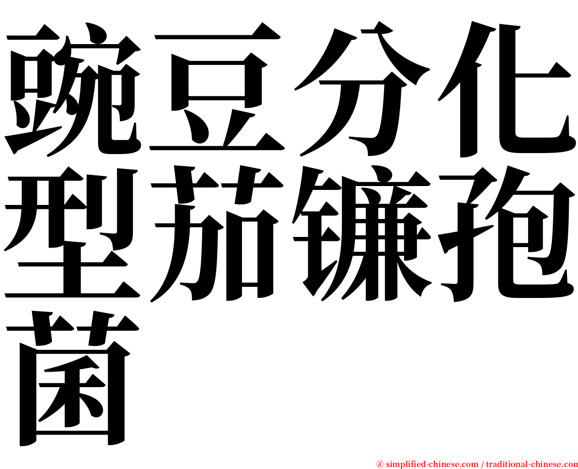 豌豆分化型茄镰孢菌 serif font