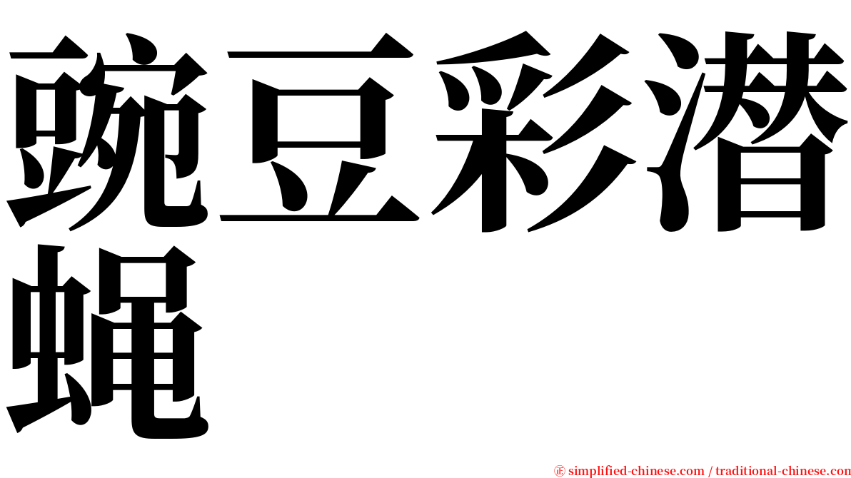 豌豆彩潜蝇 serif font