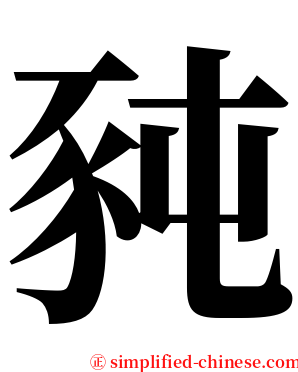 豘 serif font