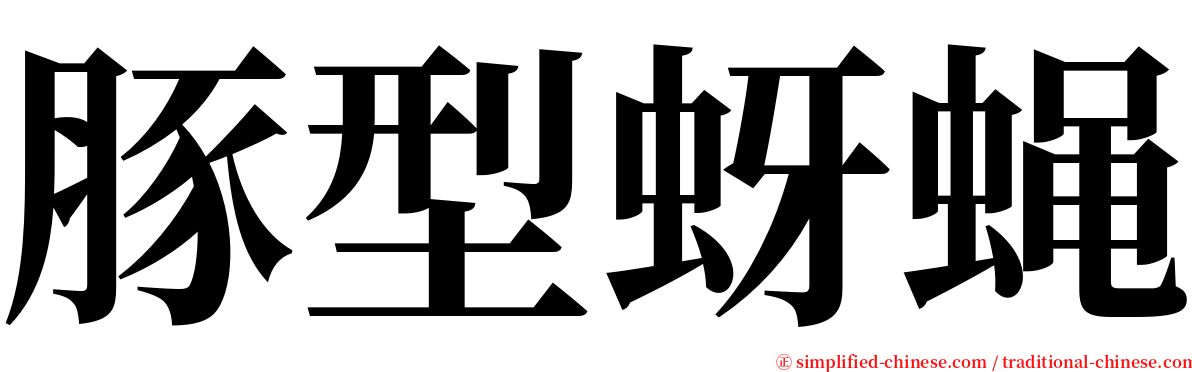 豚型蚜蝇 serif font