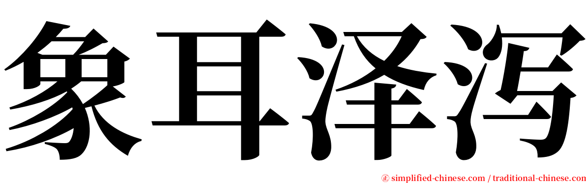 象耳泽泻 serif font