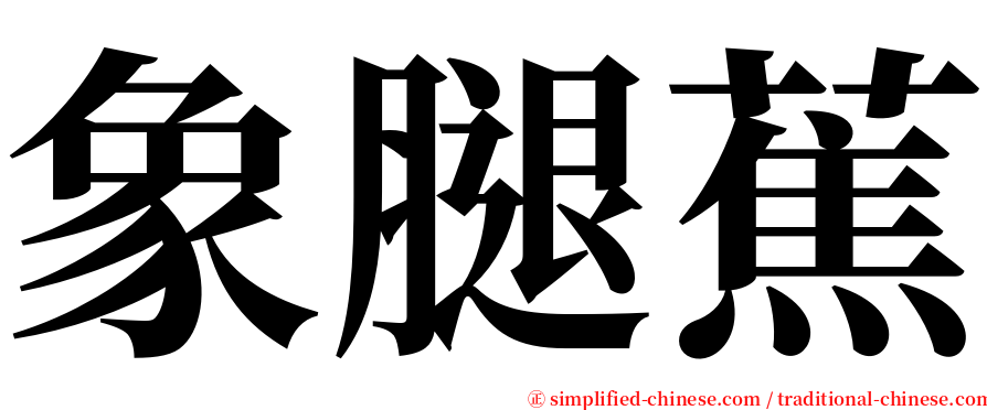 象腿蕉 serif font