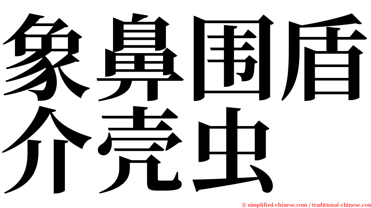 象鼻围盾介壳虫 serif font