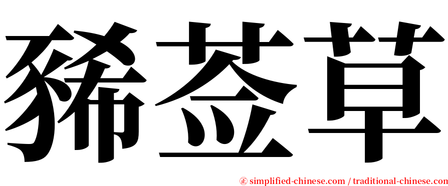 豨莶草 serif font