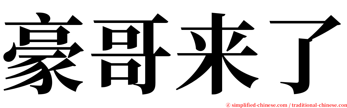 豪哥来了 serif font