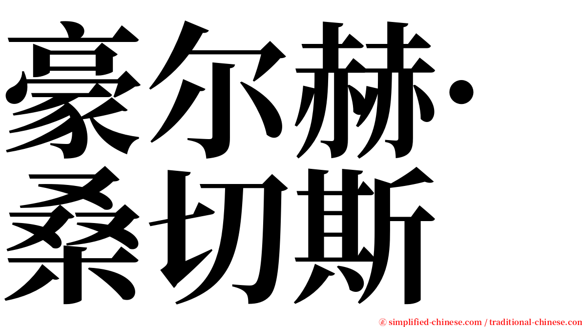 豪尔赫·桑切斯 serif font