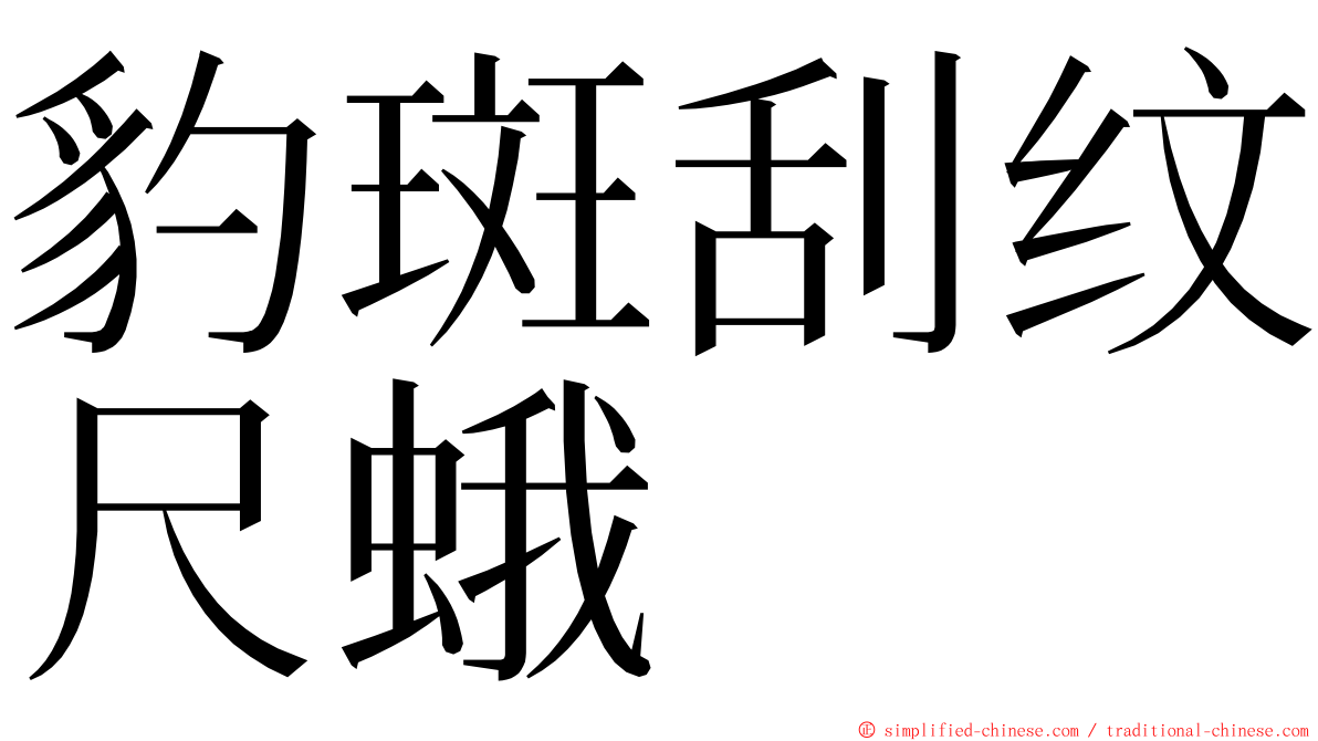 豹斑刮纹尺蛾 ming font