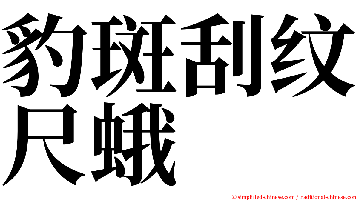 豹斑刮纹尺蛾 serif font