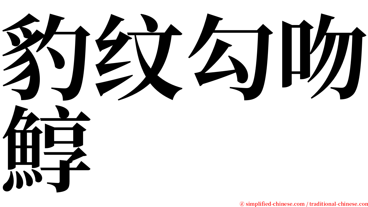 豹纹勾吻鯙 serif font