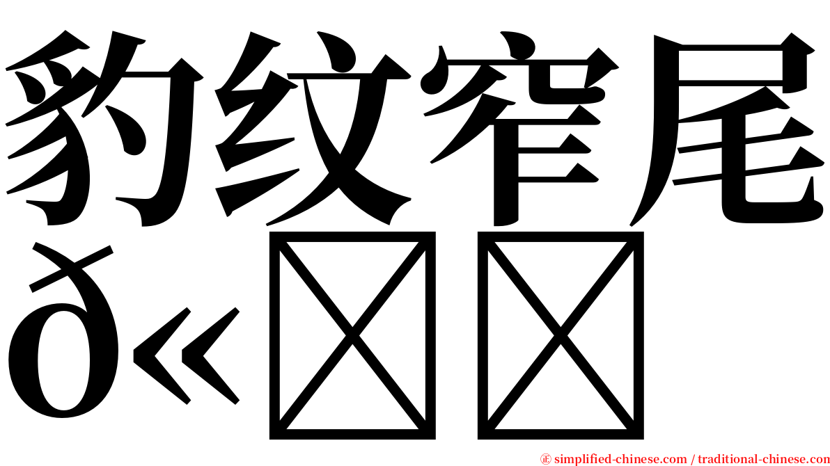 豹纹窄尾𫚉 serif font