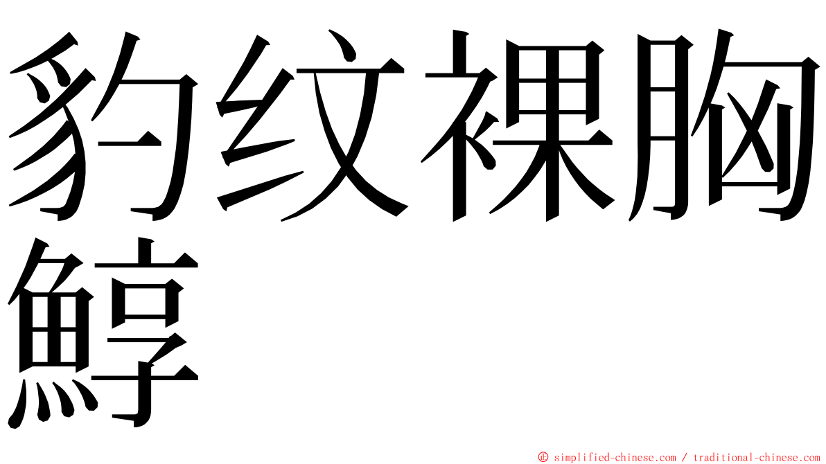 豹纹裸胸鯙 ming font
