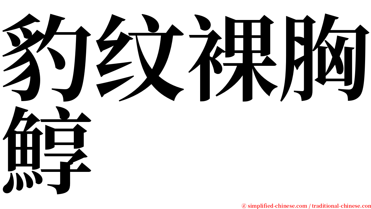 豹纹裸胸鯙 serif font