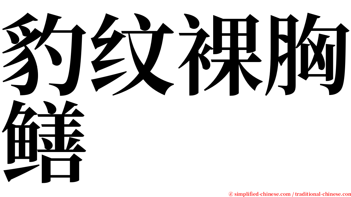 豹纹裸胸鳝 serif font