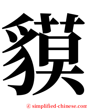 貘 serif font