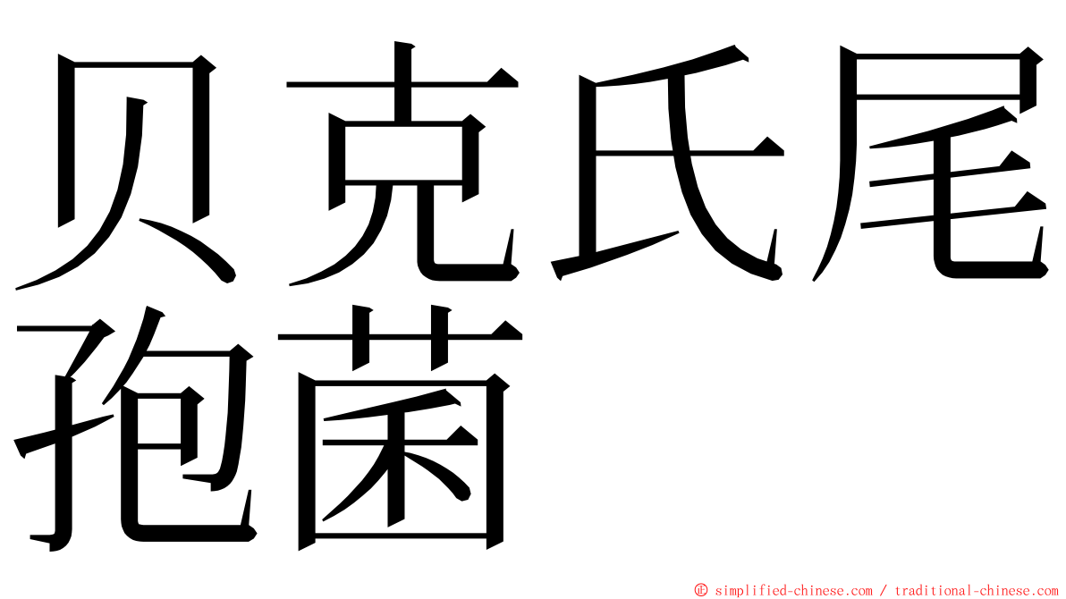 贝克氏尾孢菌 ming font